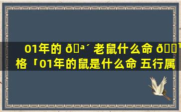 01年的 🪴 老鼠什么命 🌹 格「01年的鼠是什么命 五行属什么」